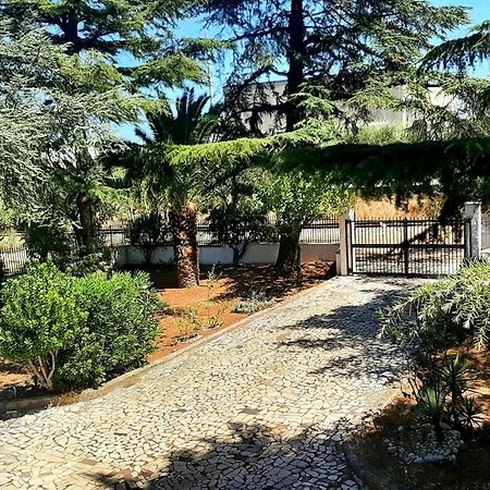 Sunshine'S Casa Vacanze Ortona Exterior foto